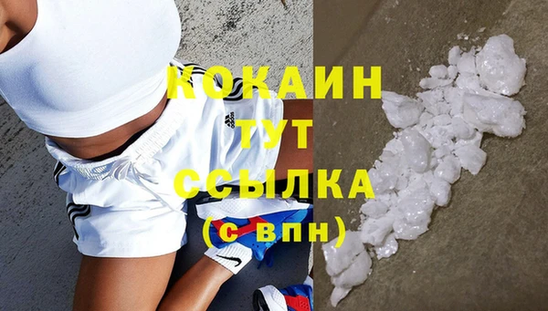 мдпв Абаза